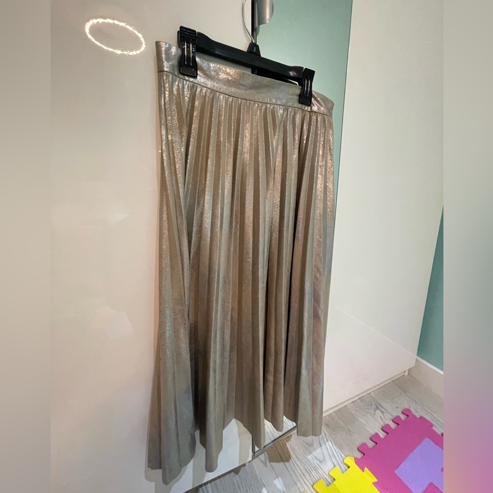 Zara Chic Shimmering A-Line Skirt